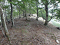 sinku023_thumb.png