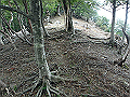 sinku025_thumb.png