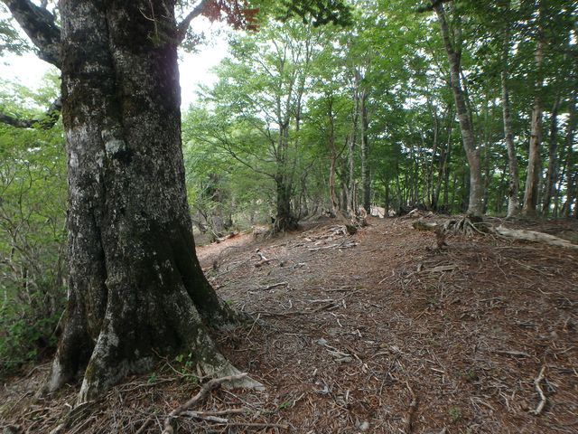 sinku026.jpg