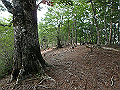 sinku026_thumb.png
