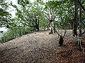 sinku027_thumb.png