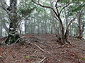 sinku032_thumb.png