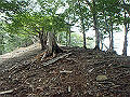 sinku035_thumb.png