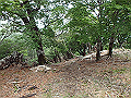 sinku043_thumb.png