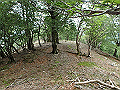 sinku044_thumb.png