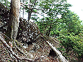sinku046_thumb.png