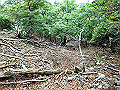 sinku047_thumb.png