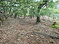 sinku048_thumb.png