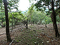 sinku049_thumb.png