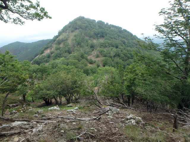 sinku050.jpg
