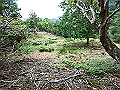 sinku051_thumb.png