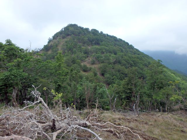 sinku053.jpg