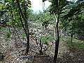 sinku054_thumb.png
