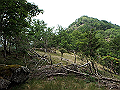 sinku056_thumb.png