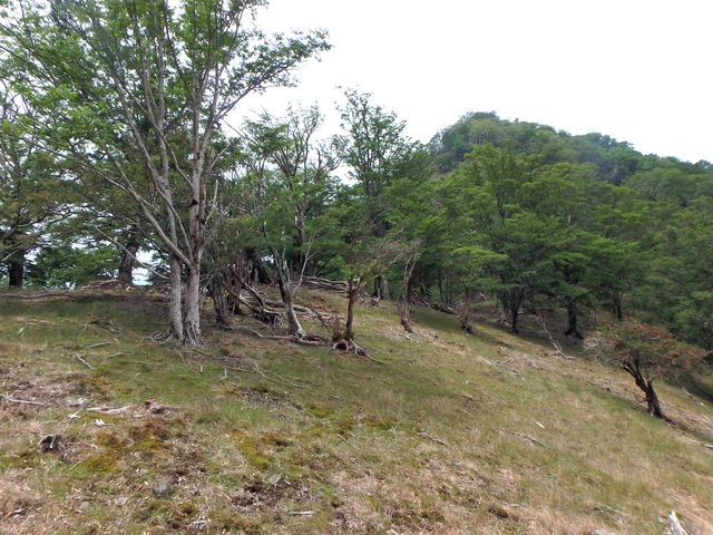 sinku057.jpg