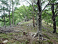 sinku059_thumb.png
