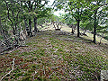 sinku061_thumb.png