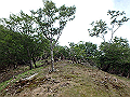 sinku062_thumb.png