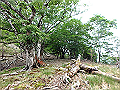sinku064_thumb.png