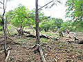 sinku065_thumb.png