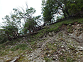 sinku066_thumb.png