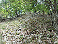 sinku067_thumb.png