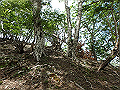 sinku071_thumb.png