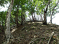 sinku072_thumb.png