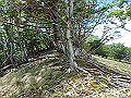 sinku076_thumb.png