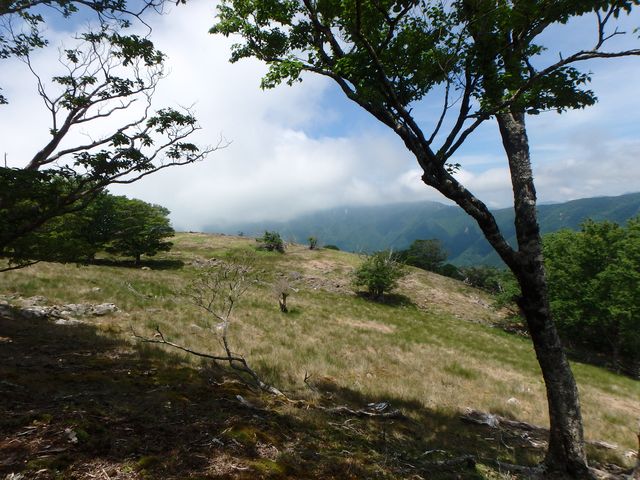 sinku077.jpg