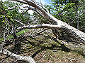 sinku079_thumb.png