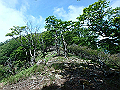 sinku081_thumb.png