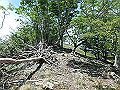 sinku082_thumb.png