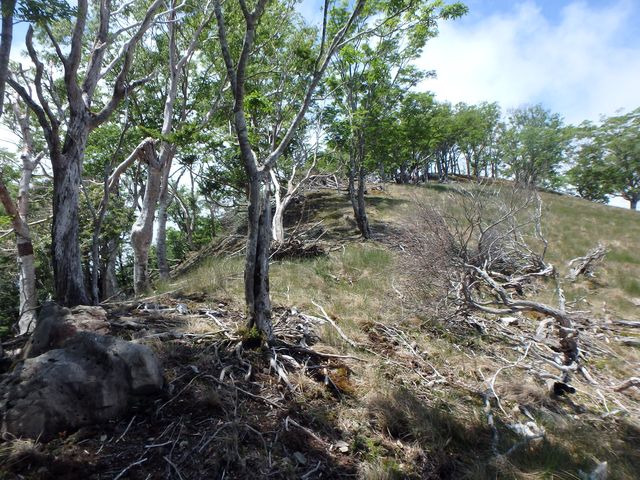 sinku084.jpg
