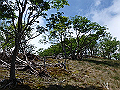 sinku085_thumb.png