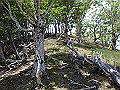 sinku086_thumb.png