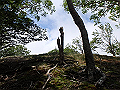 sinku087_thumb.png