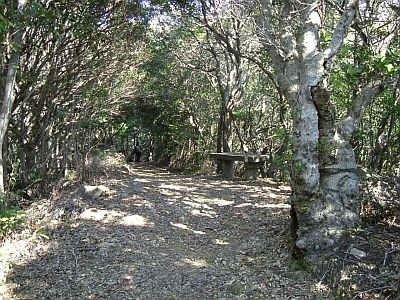 siofu12.jpg