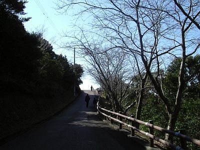 siofu17.jpg