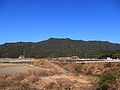 郖
