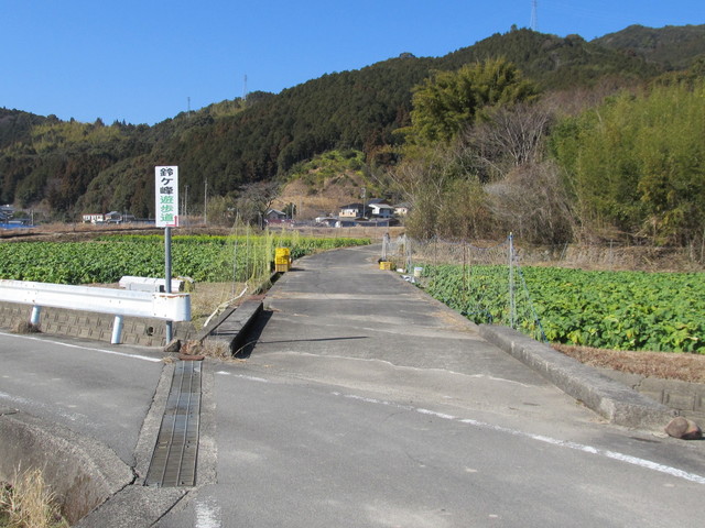 suzu03.jpg