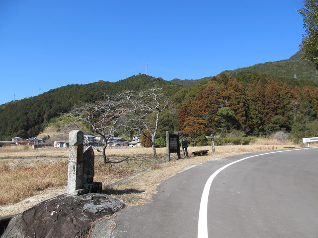suzu04.jpg