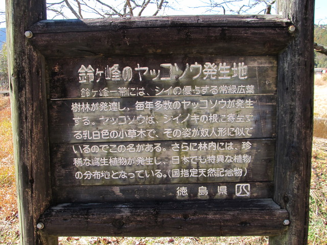 suzu05.jpg
