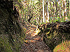 suzu31_thumb.jpg