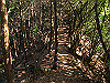 suzu70_thumb.jpg