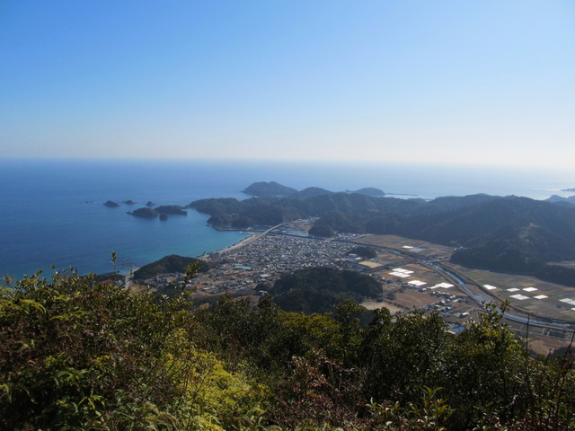 suzu75.jpg