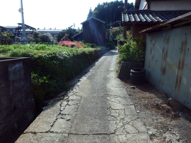 tairyuuji005.jpg