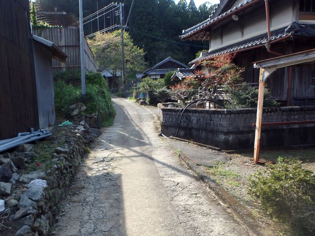 tairyuuji006.jpg