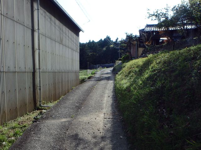 tairyuuji009.jpg