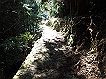 tairyuuji020_thumb.png